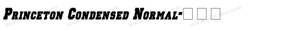 Princeton Condensed Normal字体转换